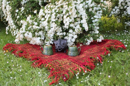 Summer - nature, fields, flowers, other