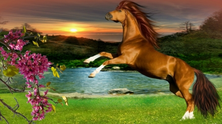 ~*~ Horse ~*~ - flowers, sunset, HD wallpaper, lake, lamdscape, horse