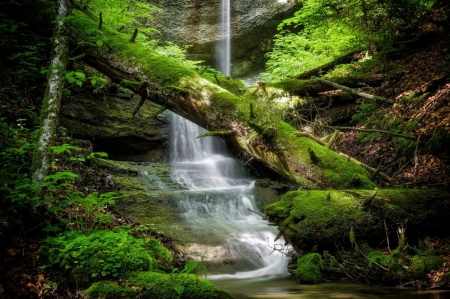 Nature - river, greenery, nature, flowing