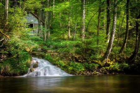 Nature - nature, flowing, trees, river