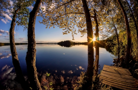 Sunrise - nature, lake, dawn, tree, sunrise