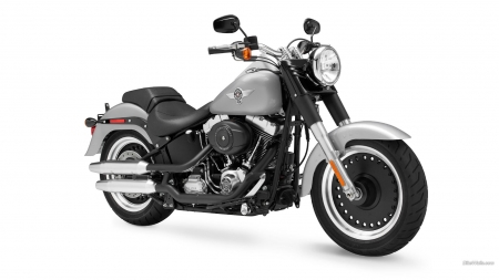 Harley Davidson Fat Boy - fat boy, motorcycle, bike, harley davidson