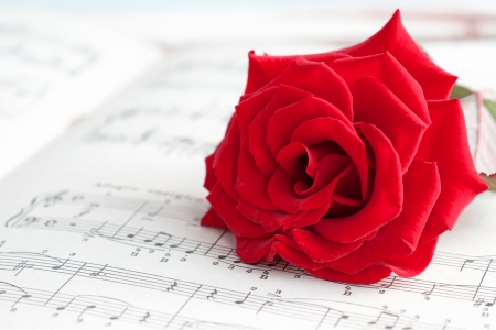 Rose - white, red, rose, musical, paper, notes