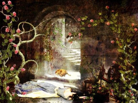 Sleeping Beauty - flowers, room, stairs, dog