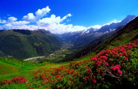 The Carpathian mountains - Romania, hills, summer, beautiful, grass, valley, mountain, carpathian, flowers, view, sky, wild