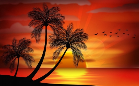 Sunset - Ocean, Sunset, Palms, Dirds