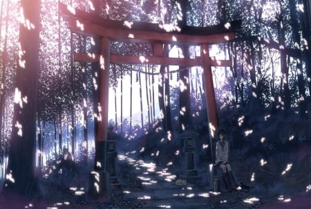 Download Torii Gate Anime Wallpaper