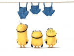 Minions 2015