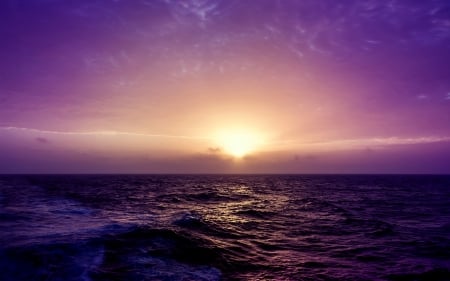 Purple Sea Sunset - purple, sunset, sea, ocean, nature