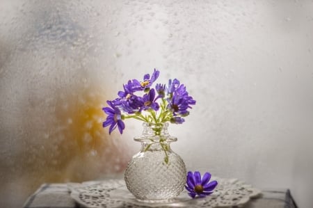 Still life - flowers, vase, purple, soft