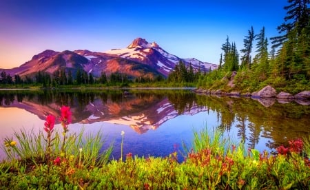 Lake flowers - lake, sky, landscape, mountain, trees, summer, peak, serenity, crystal, reflection, tranquil, mirror, beautiful, flowers, cliffs