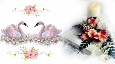 ~*~ Cute Love ~*~ - flowers, HD wallpaper, suans, cute, wedding, wedding day, love