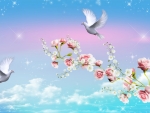 ~*~ Doves Peace ~*~