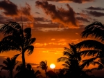 Tropical Sunset