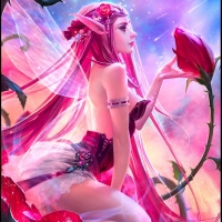 Fairy of Roses