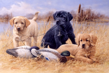 Three Hunting Pals - painting, ducks, fall, puppies