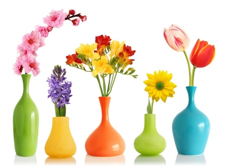 Colors - Vase, Flower, Colors, Colorful