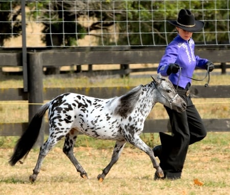 Cowgirl Trainer - girls, women, style, fun, models, training, female, cowgirls, boots, hats, rodeo, western, horses, ranch