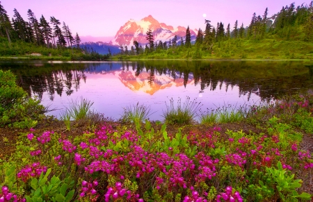 Mountain paradise - water, beautiful, landscape, reflection, mountain, wildflowers, colorful, nature, mirror, peak, lake, paradise, sky