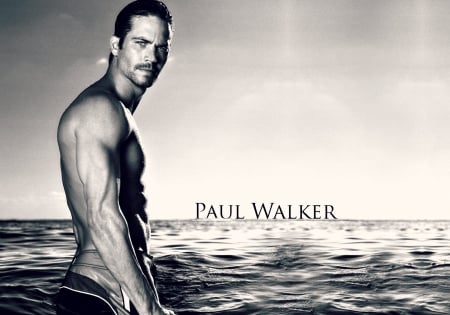 Paul Walker - summer, water, paul walker, sea, actor, man