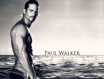 Paul Walker