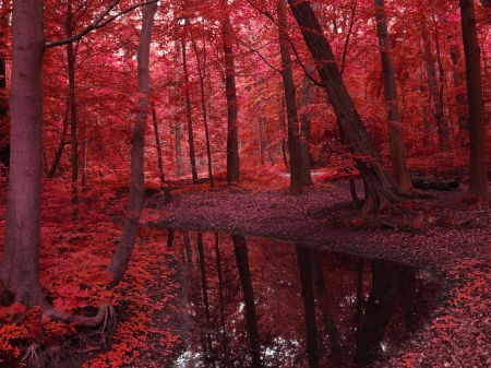 Autumn River - autumn, forest, trees, river