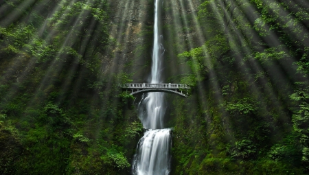 Waterfall and Bridge - water, green, bridge, falls