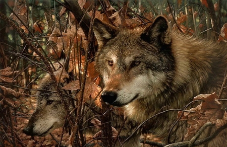 Wolves In Fall