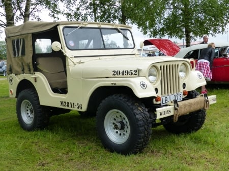 Willys 1956 - trees, sweden, nossebro, jeep, colors, grass, show