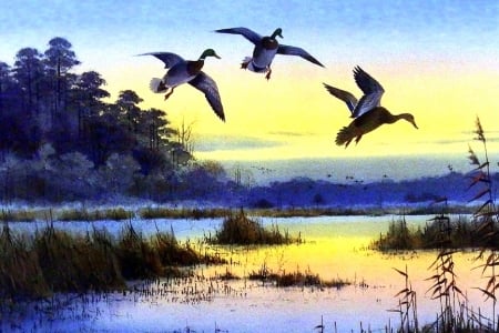 Dawn Greeters - birds, nature, paintings, flying, lakes, love four seasons, sky, draw and paint