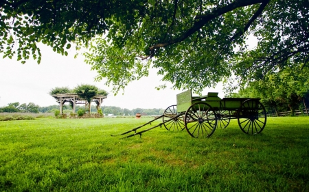 Greenery - greenery, scenery, dray, grass, tree, nature, old carriage, green, pavilion, landscapes, country, park