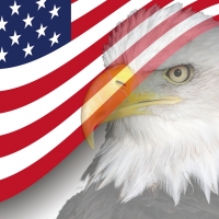 Eagle and US Flag