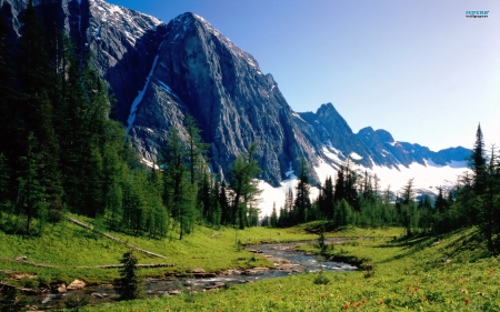 Banff National Park - alberta, firs, landscape, river, canada