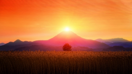 Beautiful Sunset - trees, sunset, nature, field, mountains