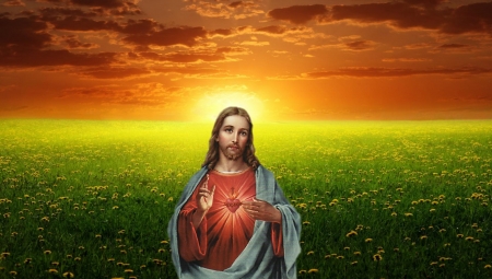 Sacred Heart of Jesus - christ, jesus, god, heart