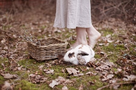 :) - photography, basket, rabbit, abstract