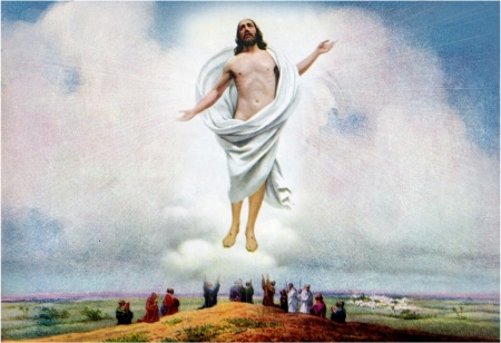 The triumph of God - christ, jesus, risen, god, life