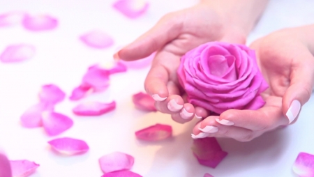 :) - hands, spa, petals, pink