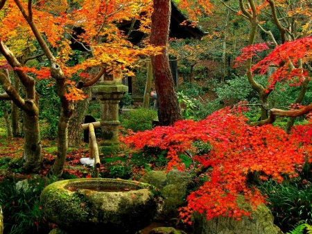 Autumn Garden - trees, well, garden, autumn