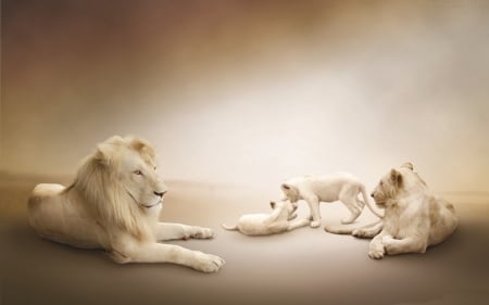 LIONS RESTING - CUTE, FAMILY, LIONS, CUBS