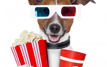 Ready for a great movie - glasses, puppy, popcorn, funny, white, caine, red, dog, 3d, animal, cute