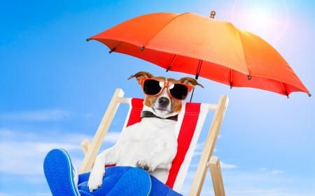 Happy Summer! - puppy, summer, funny, sunglasses, white, caine, umbrella, blue, dog, red