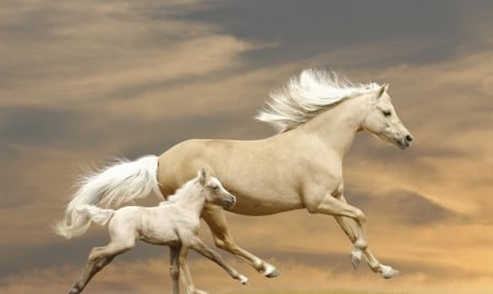 With her child - power, white, horse, amazing