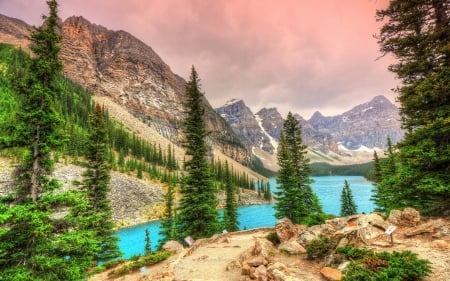 Spring at Banff NP, Alberta - firs, landscape, mountains, canada