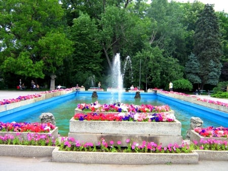 Herastrau Park, Romania - fountain, blossoms, trees, basin