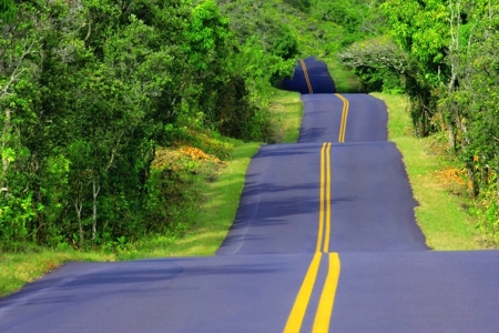 Beautiful Road - road, trees, forest, country