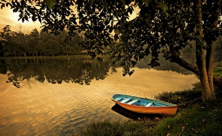 Cool - nature, tree, boat, river