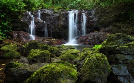 Forest Waterfall - nature, forest, waterfall, rocks