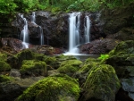 Forest Waterfall