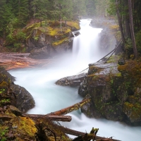 Misty Forest Waterfall